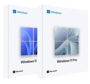 Windows 11 Professional