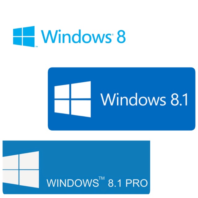 Windows 11 Professional