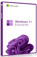 Windows 11 Professional
